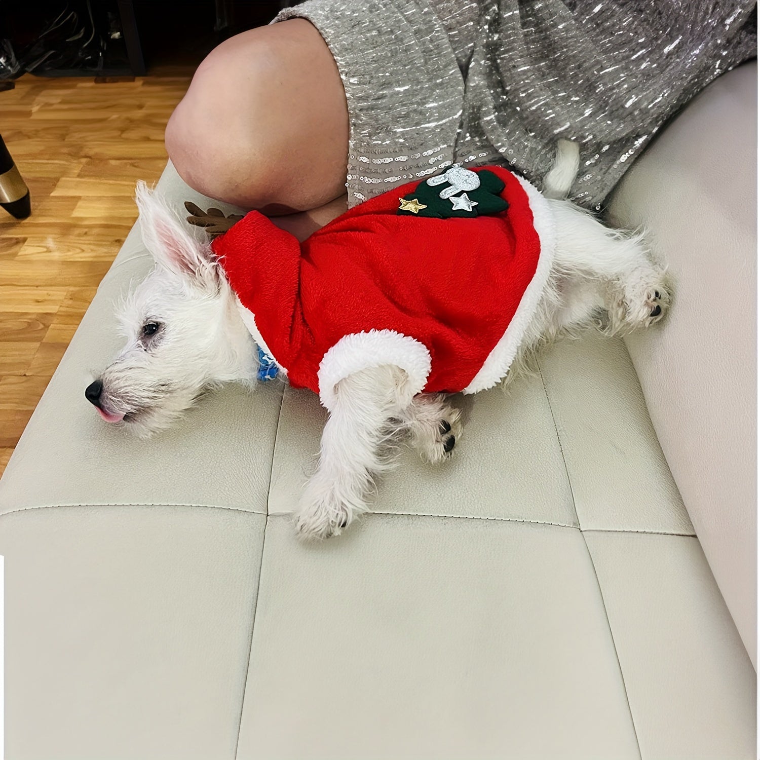 Costume Natalizio per Cani e Gatti – Vestito Babbo Natale con Cappello