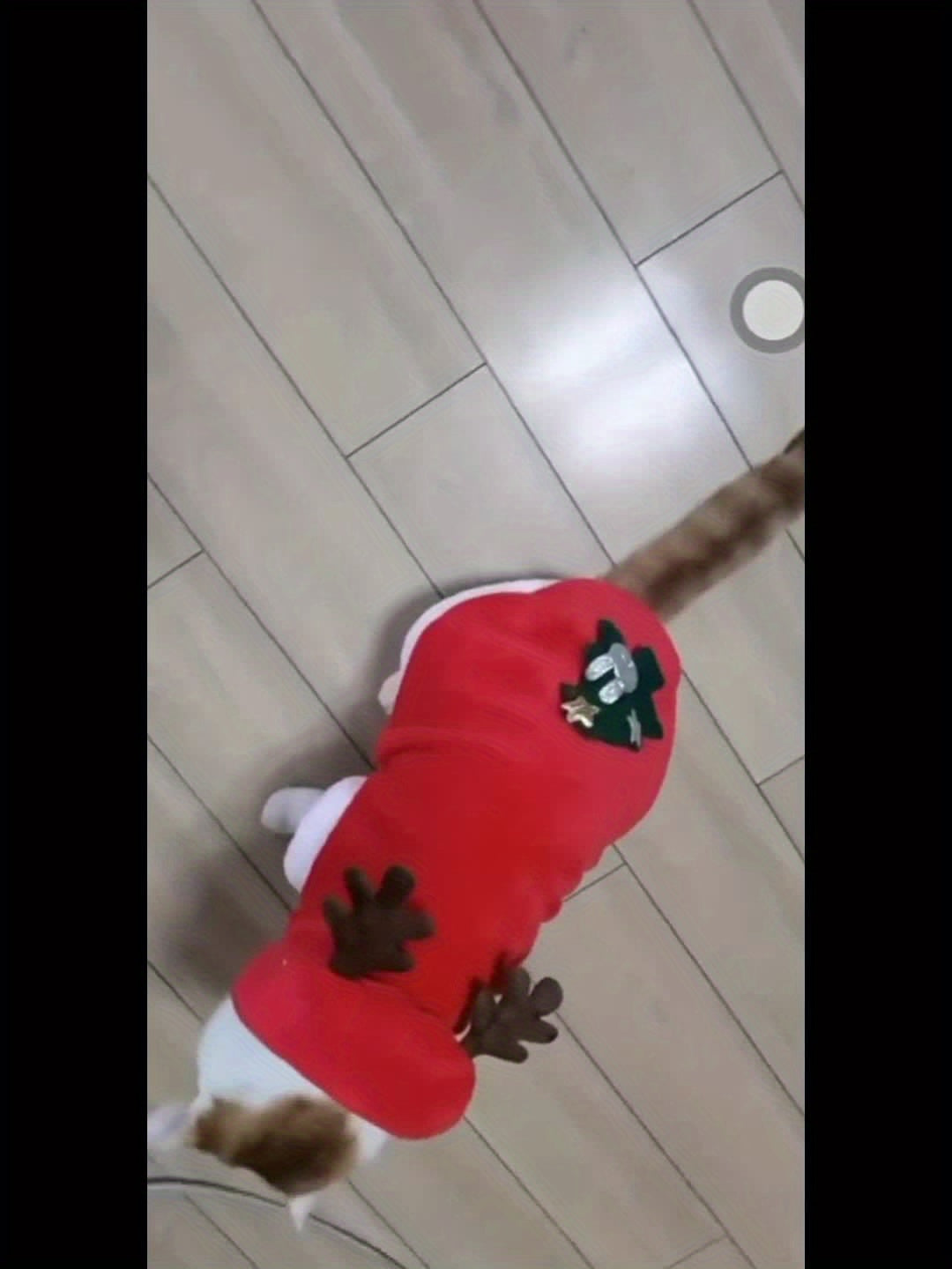 Costume Natalizio per Cani e Gatti – Vestito Babbo Natale con Cappello