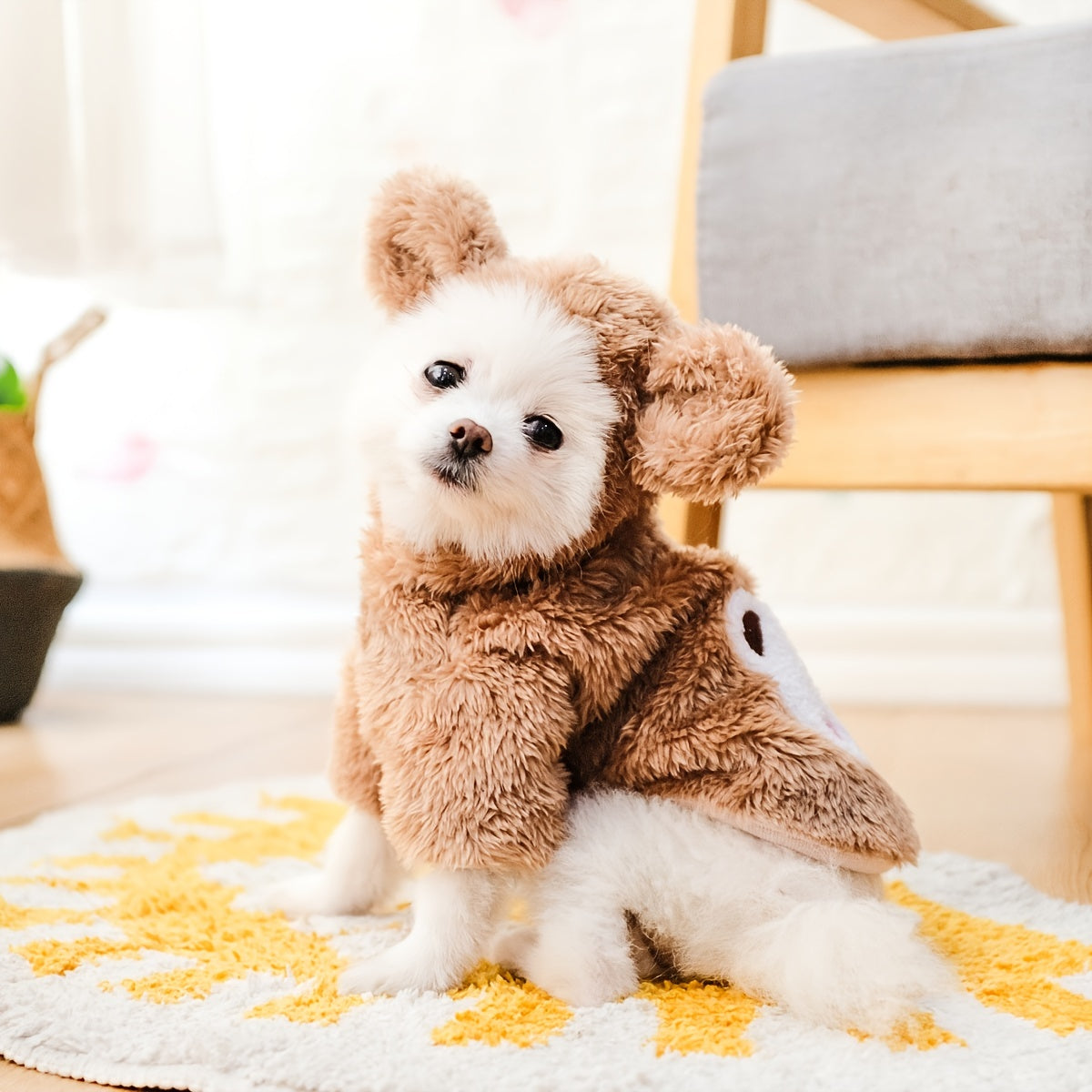 Costume Caldo Orsetto Teddy Bear per Cani e Gatti - Pet Costumes Adorabili