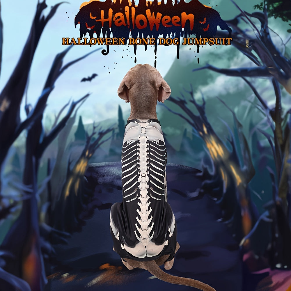Tuta Scheletro Cane Halloween - Costume Skeleton per Cuccioli e Cani XL-3XL