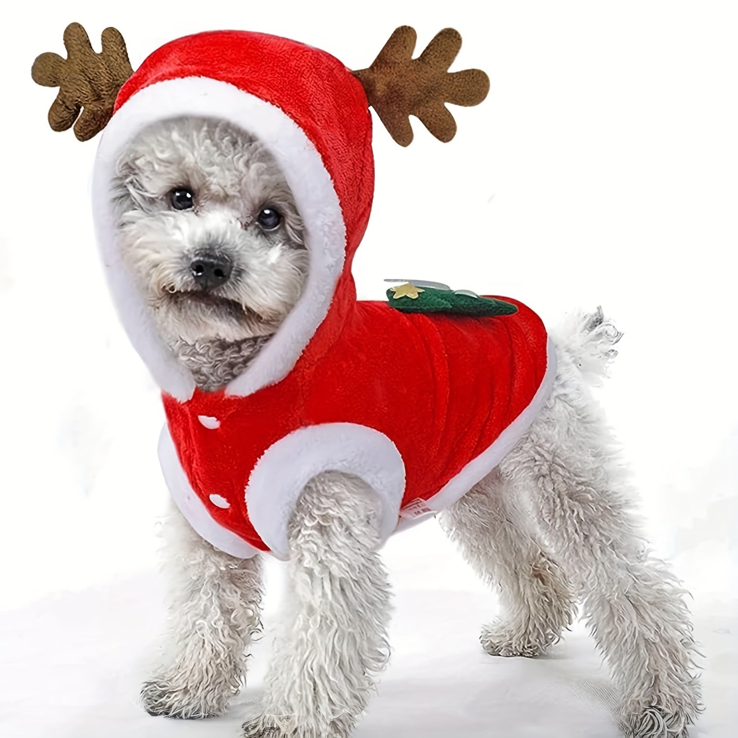 Costume Natalizio per Cani e Gatti – Vestito Babbo Natale con Cappello