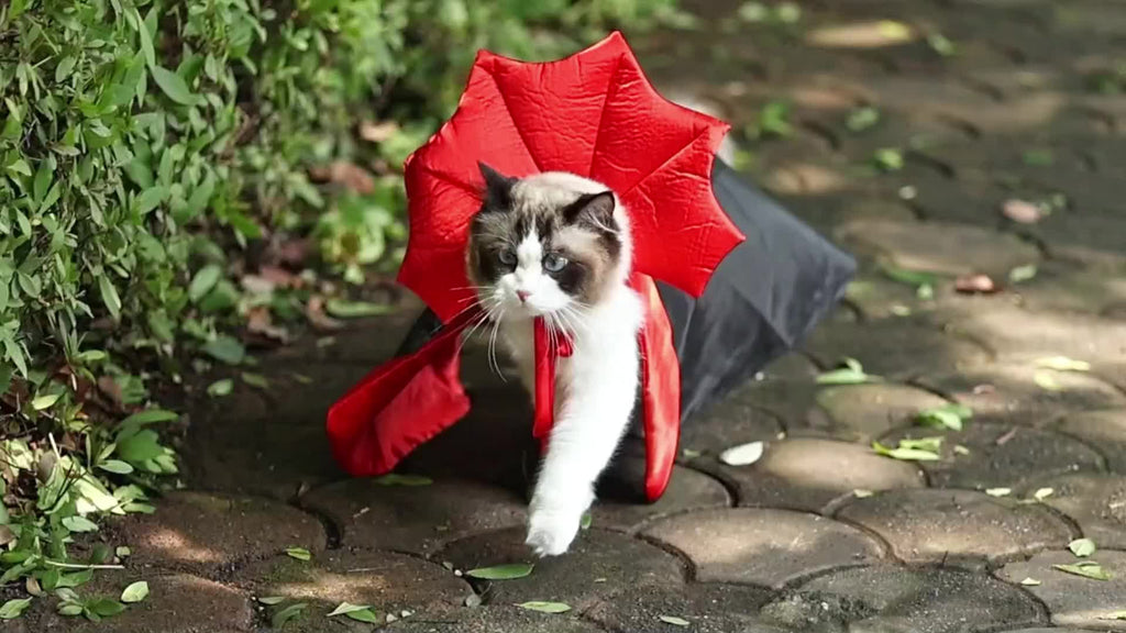 Costume Halloween Cane Vampiro Diavolo - Mantello Rosso Nero per Cani Piccoli Medi Grandi